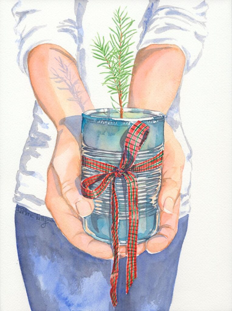'Gift of Fir'