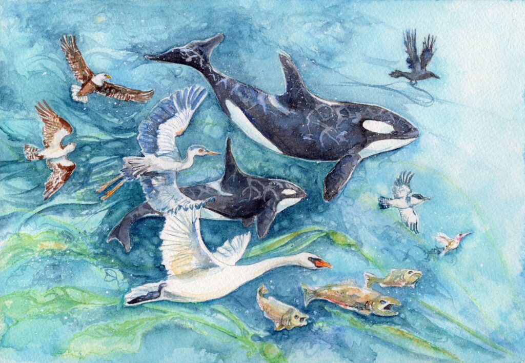 West Coast Reverence - Wind & Air hp