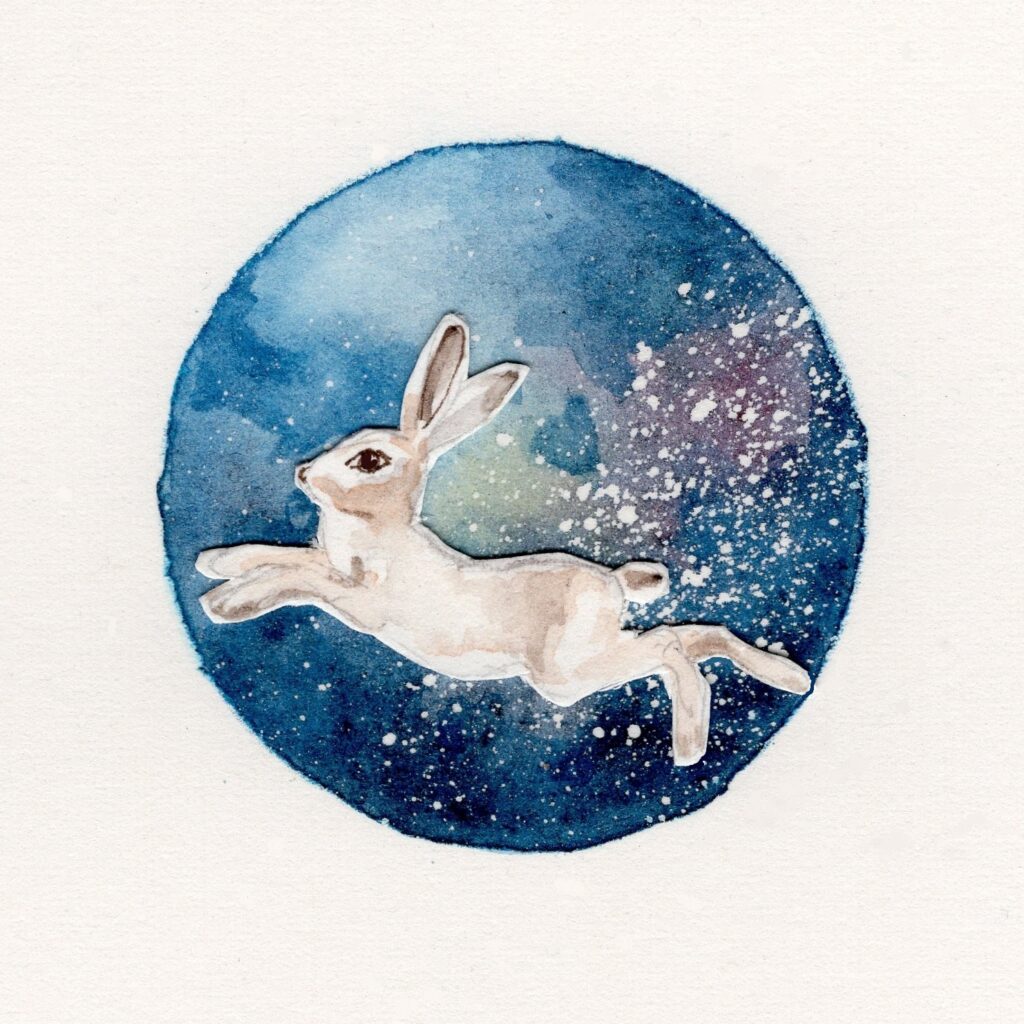 rabbit in space
